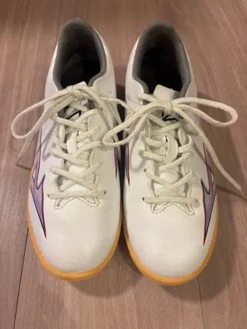 미즈노 알파 화이트 신발 22cm