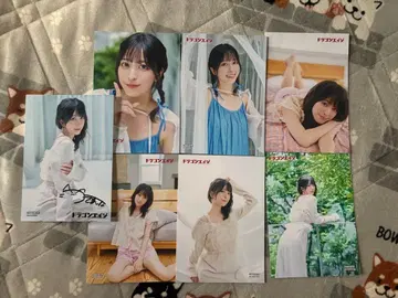 드래곤 에이지 10월호 츠키네 코나 컴플리트 브로마이드