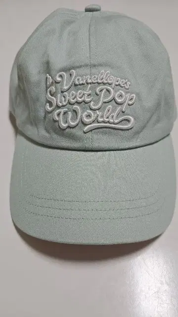 금일 삭제 팬캡 바넬로피 디즈니랜드