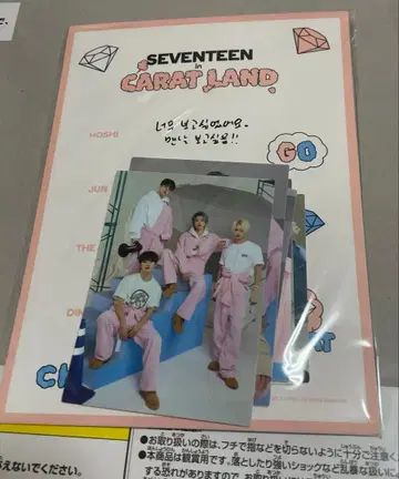 SEVENTEEN 퍼포먼스팀 굿즈 캐럿랜드 아크릴 스탠드