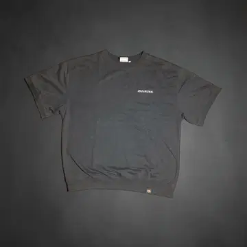 Dickies T셔츠 L