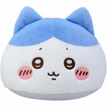 치이카와 프리미엄 돔 쿠션 하치와레