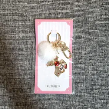 타네무라 아리나 30주년 기념전 카무카제 카이토 쟌느 로자리오 백참