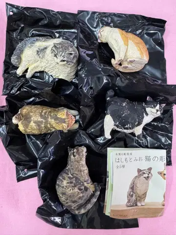 하시모토 미오 고양이 조각 2 전 5종 컴프 세트