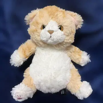 레어 에뚜왈 무릎 고양이 브라운 태비 작은 봉제 인형