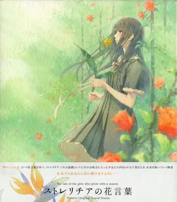 게임 CD 제2판) 스트렐리치아의 꽃말 *미개봉
