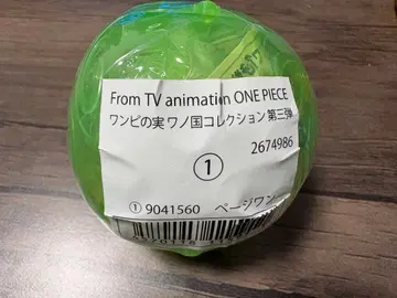원피스 열매 ONEPIECE 페이지 원