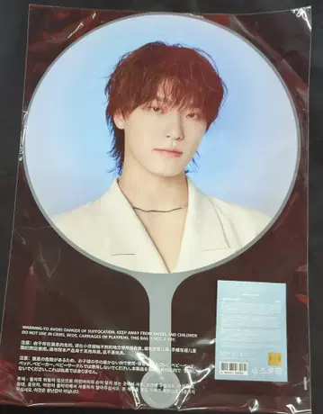 SEVENTEEN 2025 NEW_ DINO 이미지 피켓
