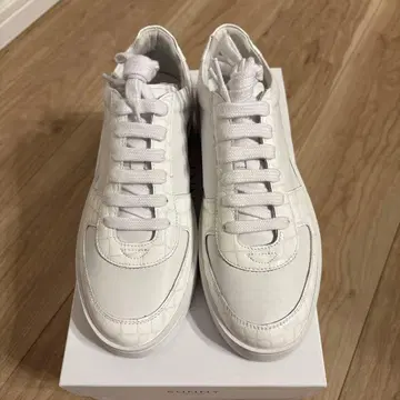 펠리코 서니 트래비스 크로코 토가 한정판 BR 39