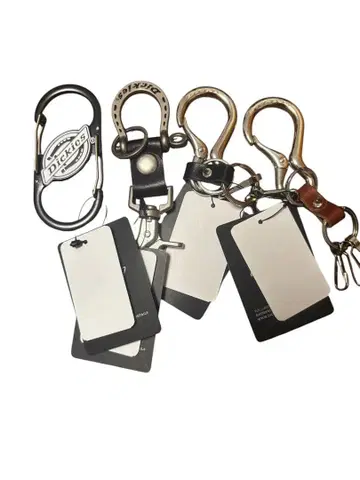 Dickies 카라비너 실버 복수 세트