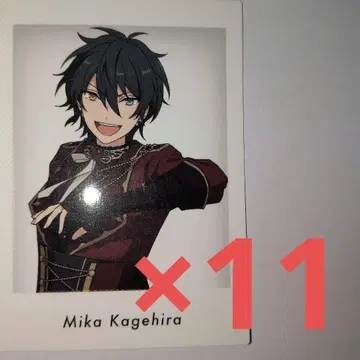 앙스타 10주년 파샤츠 특전 카게히라 미카