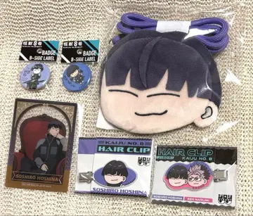 지롤리 B-SIDE LABEL 호시나 부대장 세트