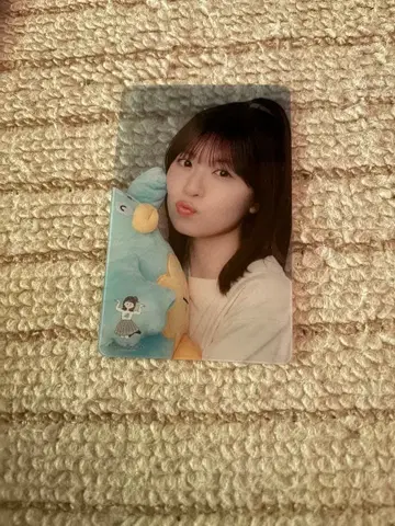 마츠다 코카 졸업 세레모니 마츠다코 복권 야호스상 랜덤 클리어 카드 포카