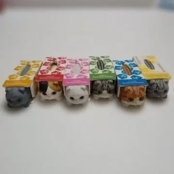 스코티시 티슈 캡슐 토이 피규어 고양이 키탄클럽