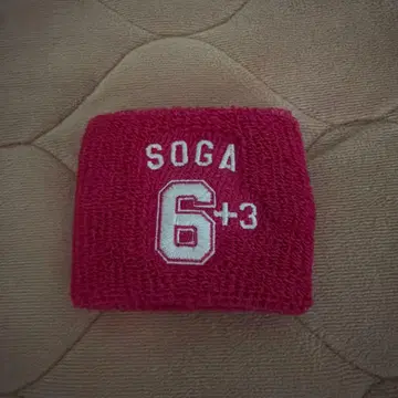 소우가 야스히사 리스트 밴드 핑크