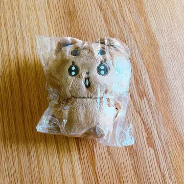 포바투 범규 TXT 새상품 미개봉