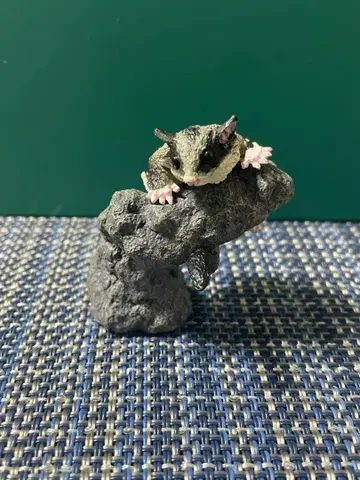 반다이 생물대도감 손가락말이 컬렉션 주머니하늘다람쥐 피규어