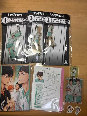 하이큐 오이카와 토오루 이와이즈미 하지메 묶음 판매