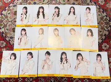 [선발 컴프 세트] AKB48 나고리사쿠라 타워레코드 엽서 16종