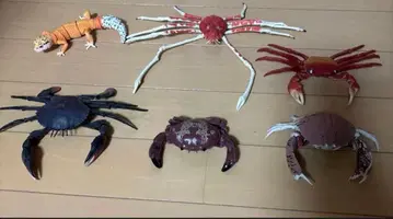 [생물 대도감] 레오파드 게코, 타카아시 게, 기타 피규어