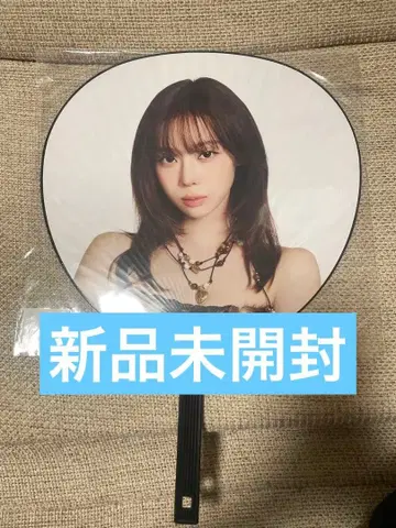 aespa 윈터 WINTER 부채 투어 돔 투어 굿즈