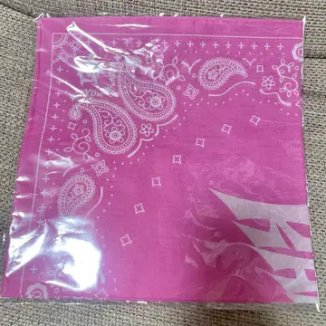 aespa 카리나 KARINA 반다나 투어 굿즈 투어굿즈 월츠