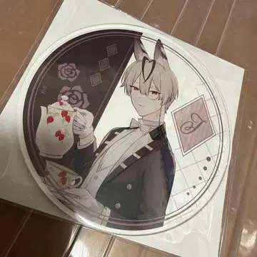 하니브 테오 아크릴 코스터