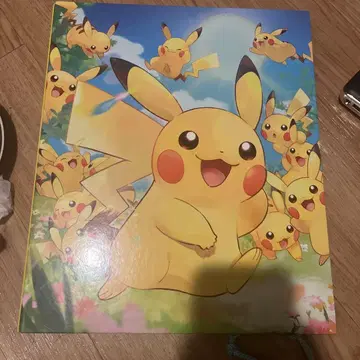 포켓몬 카드 컬렉션 파일 피카츄 대집합 리필 42매