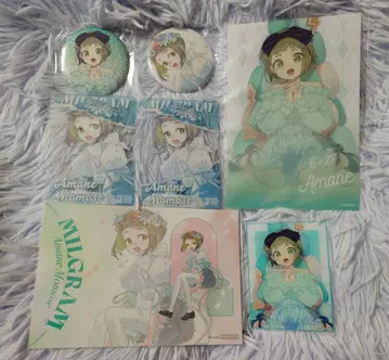 MILGRAM 밀그램 아마네 벌스데이 파보테리아 묶음 판매