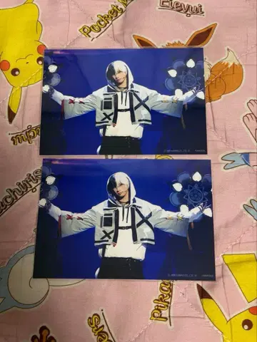 플라뮤 스테쇼 차코