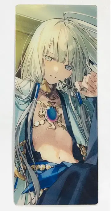 FGO 네모 노아 편성 화면풍 카드
