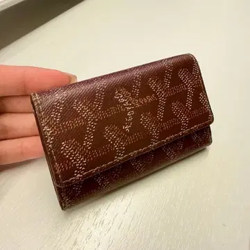 고야드 GOYARD 키케이스 로고