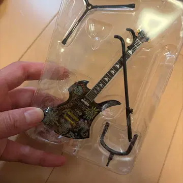 hide 기타 컬렉션