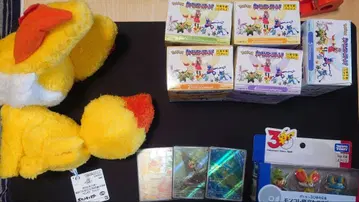 포켓몬 카로스 지방 굿즈 세트 몬코레 스케일 월드