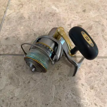 Daiwa 스피닝 릴 실버/골드