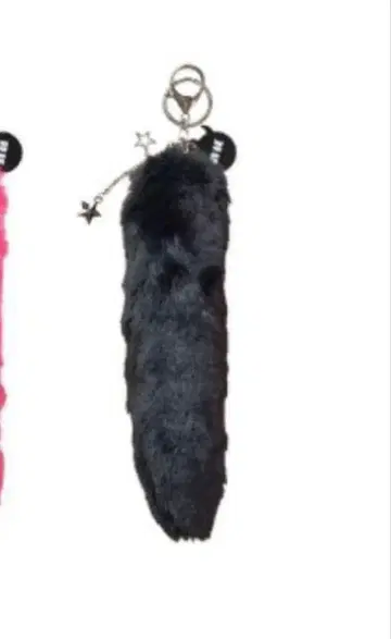 BABYMONSTER wegoup 퍼 키링 블랙