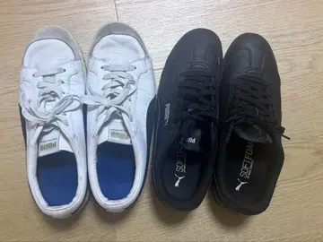 PUMA SOFTFOAM 스니커즈 2족 세트