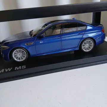 BMW M5 1/18 스케일 모델