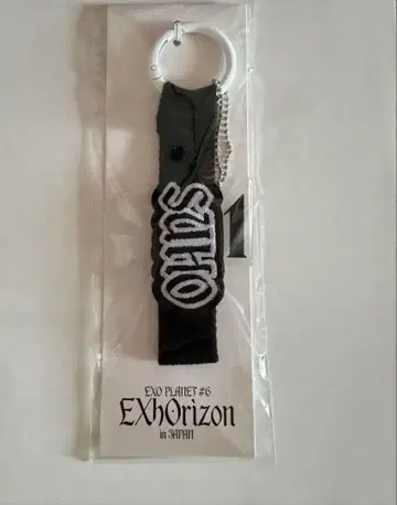 EXO EXhOrizon 수호 네임택