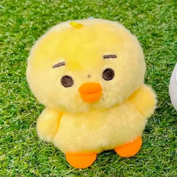 &TEAM JO 10cm 봉제 인형 병아리 andteam