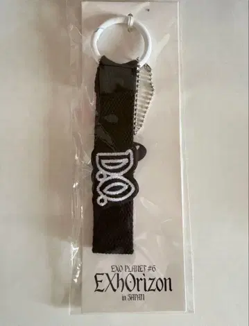 EXO PLANET #6 EXhOrizon 네임택 디오