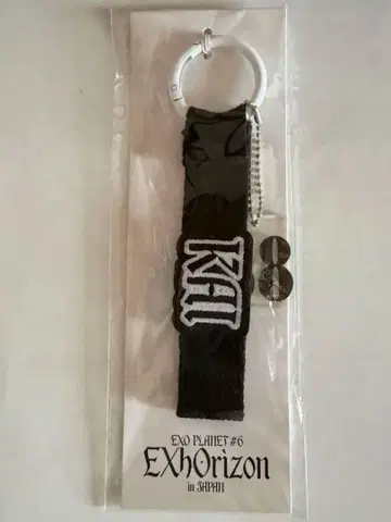 EXO PLANET #6 EXhOrizon 네임택 카이
