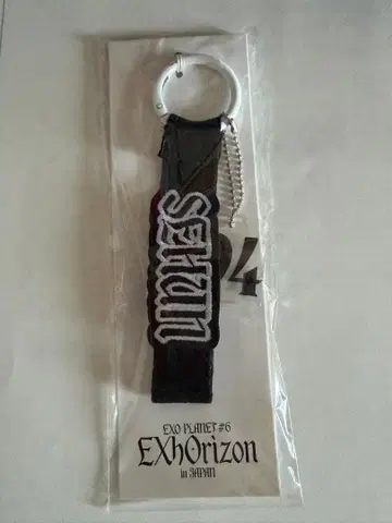 EXO PLANET #6 EXhOrizon 네임택 세훈