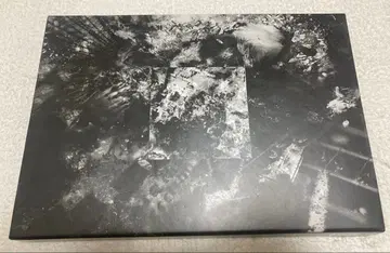 새상품급 SUGIZO 음 premium editon LUNA SEA
