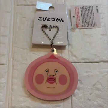 코비토즈칸 거울 참