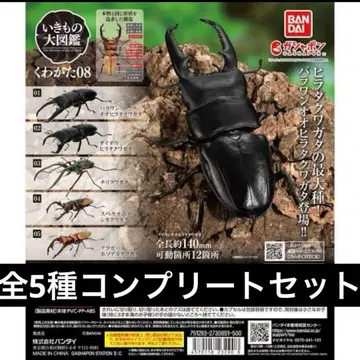 생물대도감 장수풍뎅이 08 전 5종 풀컴프