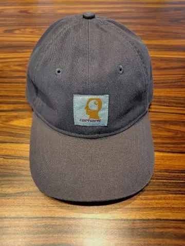 BRAiNDEAD x carhartt 브레인데드 칼하트 캡