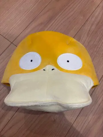 포케파크 코닥 모자