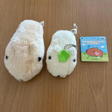 카피바라 씨 봉제 인형
