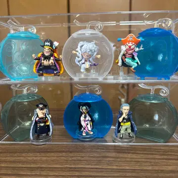 원피스 열매 니카 검은 수염 등 세트